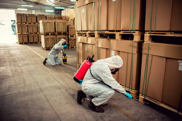 Best Affordable Pest Control Services  in Homeacre Lyndora, PA