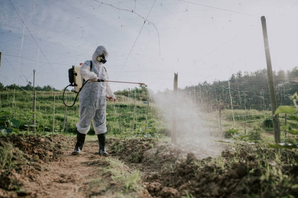 Best Affordable Pest Control Services  in Homeacre Lyndora, PA