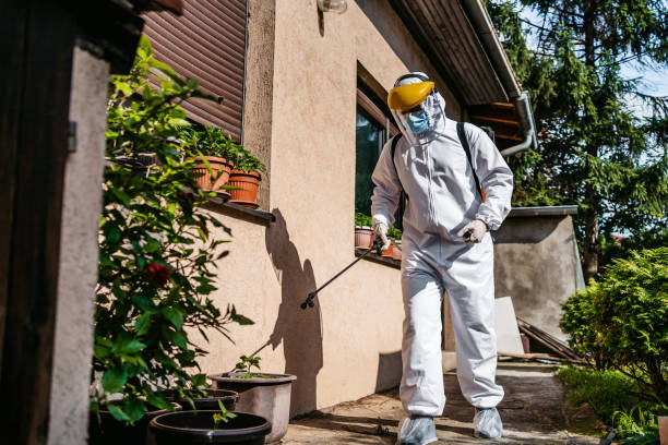 Reliable Homeacre Lyndora, PA Pest Control Solutions