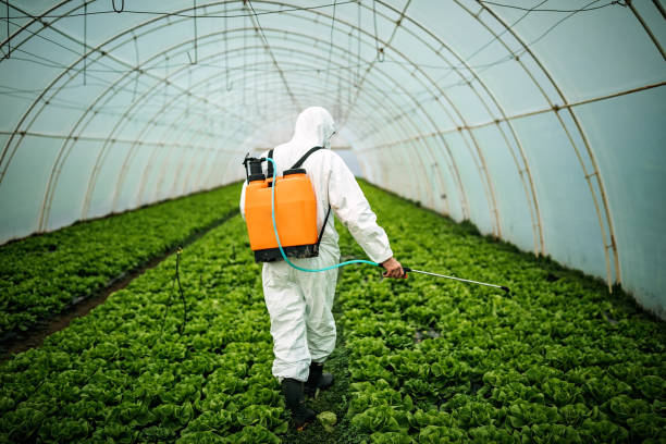 Best Pest Control Near Me in Homeacre Lyndora, PA