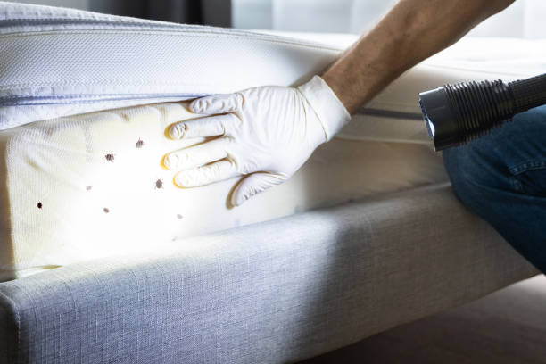 Best Wasp Removal Services  in Homeacre Lyndora, PA